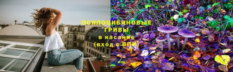 как найти закладки  Лянтор  Псилоцибиновые грибы MAGIC MUSHROOMS 